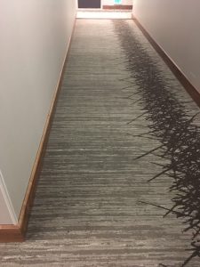 commercial carpet cleaning