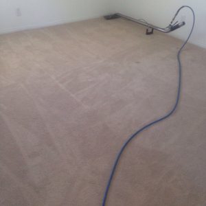 carpet cleaning Mar Vista