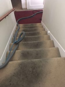 carpet cleaning agoura hills