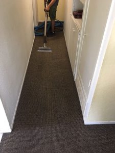 carpet cleaning venice