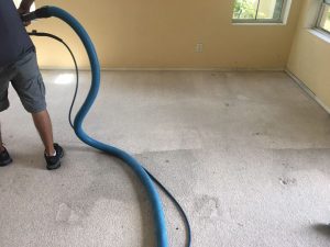 carpet cleaning northridge