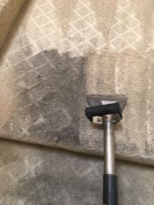 carpet cleaning burbank