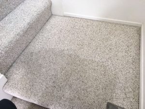 carpet cleaning hollywood hills