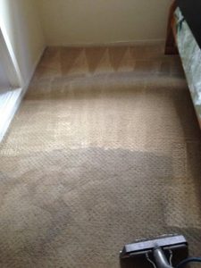 carpet cleaning van nuys
