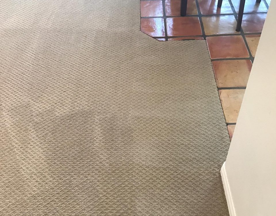 carpet cleaner near me